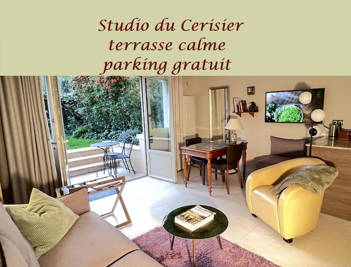 Studio Du Cerisier 25m² Terrasse, Parking Gratuit - Le Chesnay