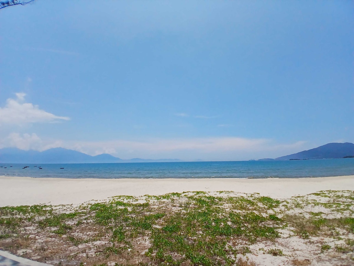 A tranquil beach scene features soft, sandy shores leading to a calm sea. Gentle waves lap at the water's edge, with distant mountains visible on the horizon. The sky is clear, allowing natural light to illuminate the landscape. Green vegetation adds a touch of color at the forefront.