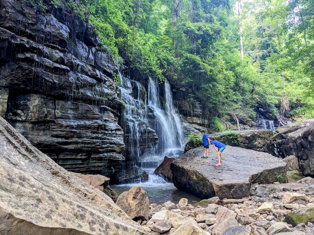 A cascading waterfall is surrounded by lush greenery and rocky terrain. Two individuals are seen attentively examining the smooth stone surface near the water's edge, while the sound of flowing water adds to the serene ambiance.