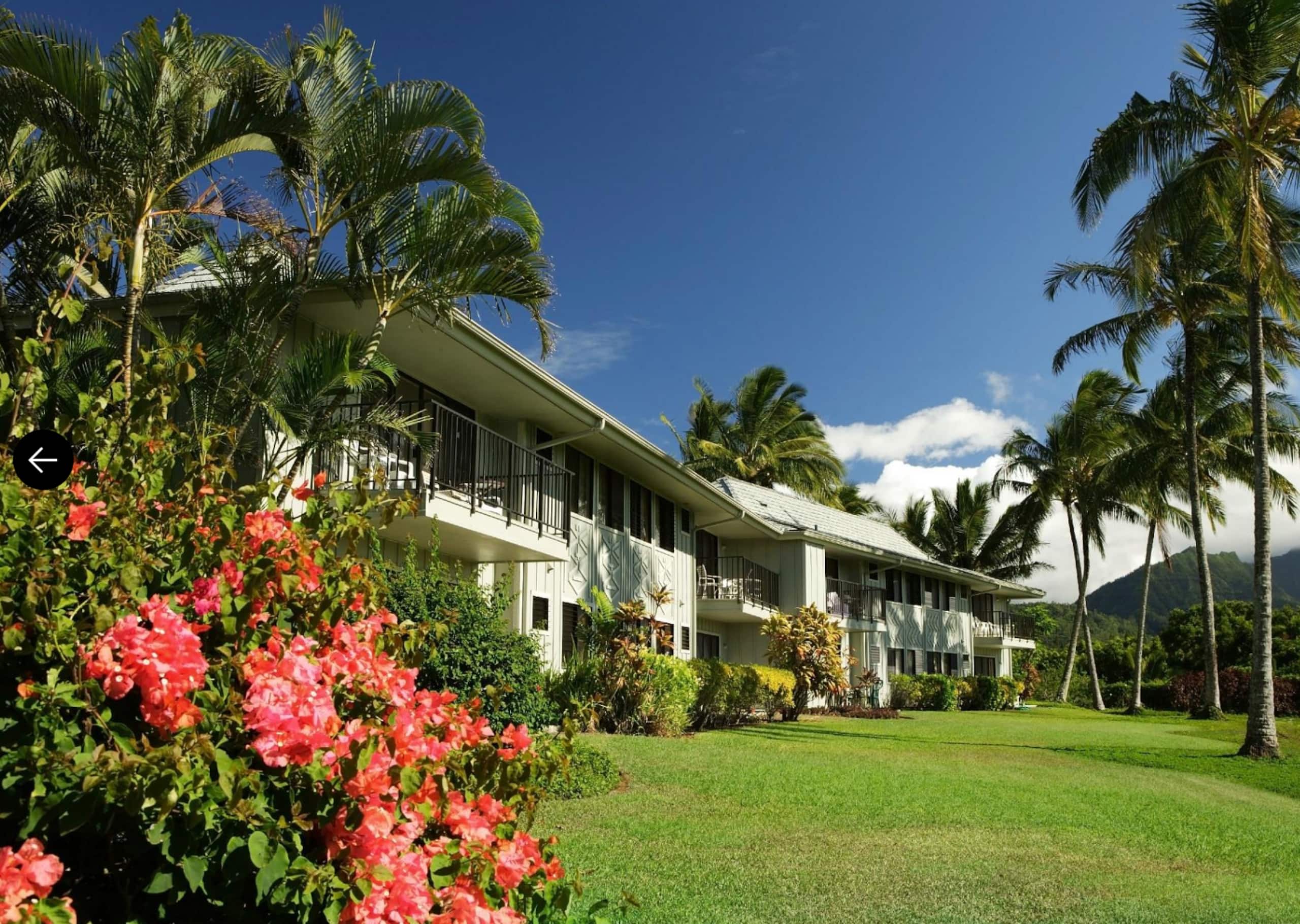 Condo in Princeville · ★4.89 · 2 bedrooms · 3 beds · 2 baths - Image 25