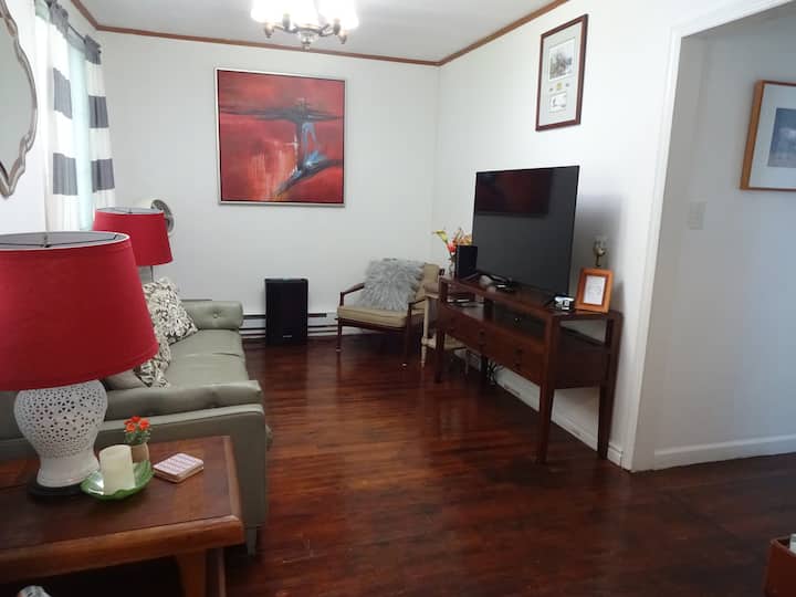 Willowemoc Creek Cottage - Livingston Manor, NY