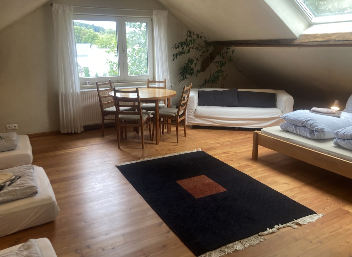 The renovated "village view room" is located opposite the apartment on the 2nd floor. Up to 5 people have space here in a double bed and mattresses. A table with 3 chairs and a spacious sofa are also available.