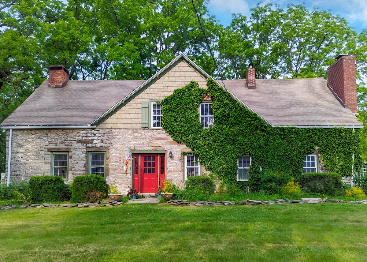 686ecb9a-7214-4c4d-beff-