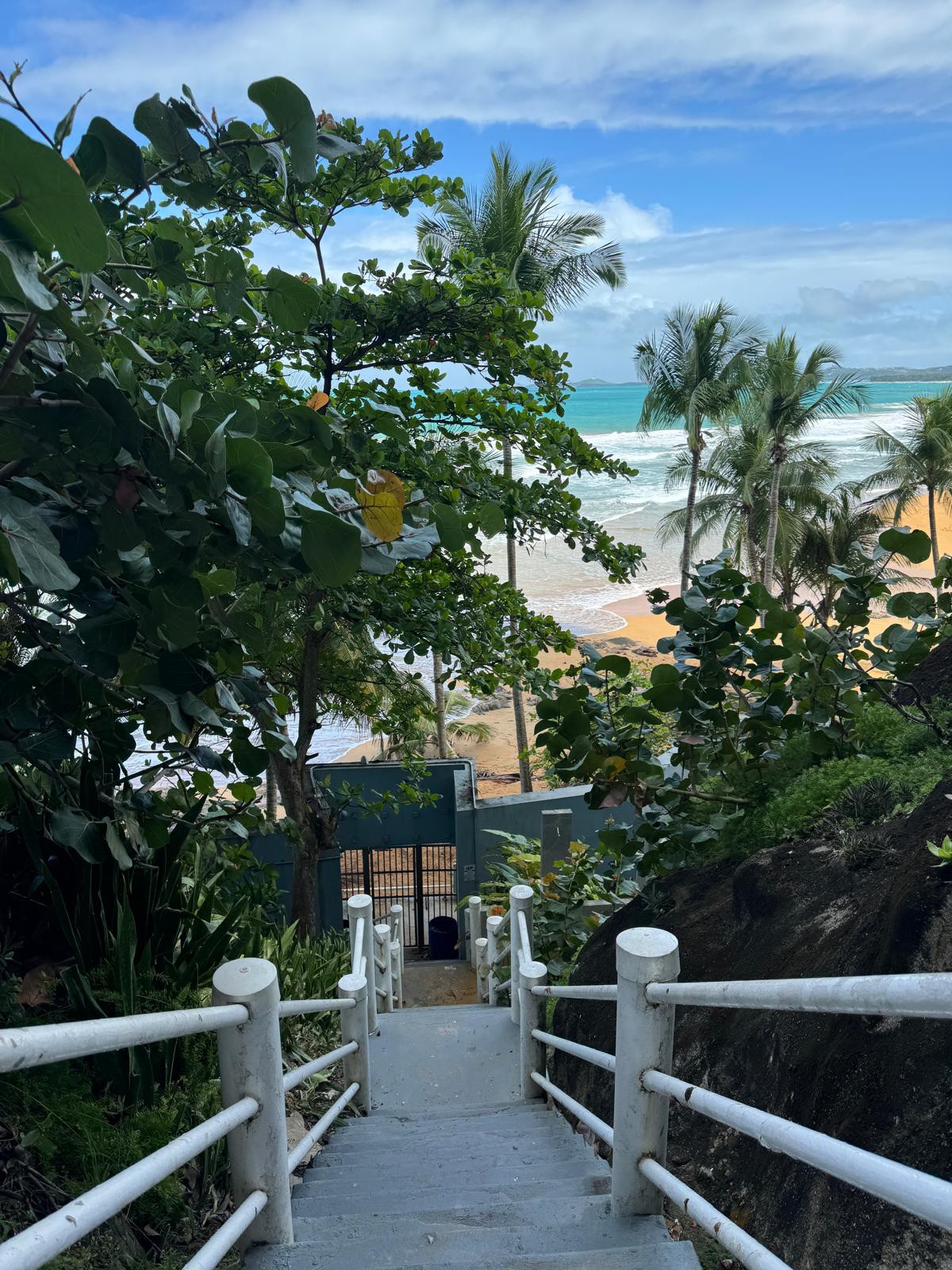 A stairway framed by lush greenery leads down to the beach. Palm trees sway nearby, and the ocean is visible through the opening, with sandy shores meeting the waves in the distance. The sky is partly cloudy, creating a serene coastal atmosphere.