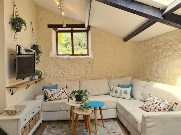 صالة مريحة — مثالية للاسترخاء بعد يوم في المستنقع.