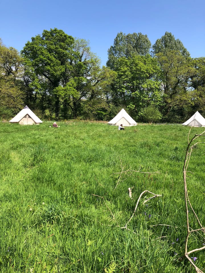 Nature's Retreat: Ancient Woodland Eco-glamping - Liskeard