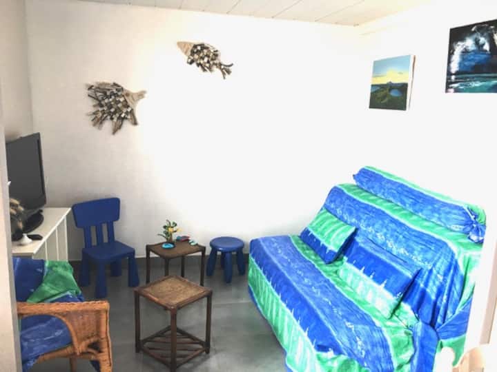 living room with sofa bed BZ , TV