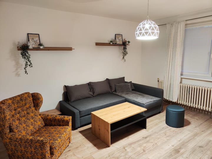 Apartment Near Main Station And The City Center - Bardejov