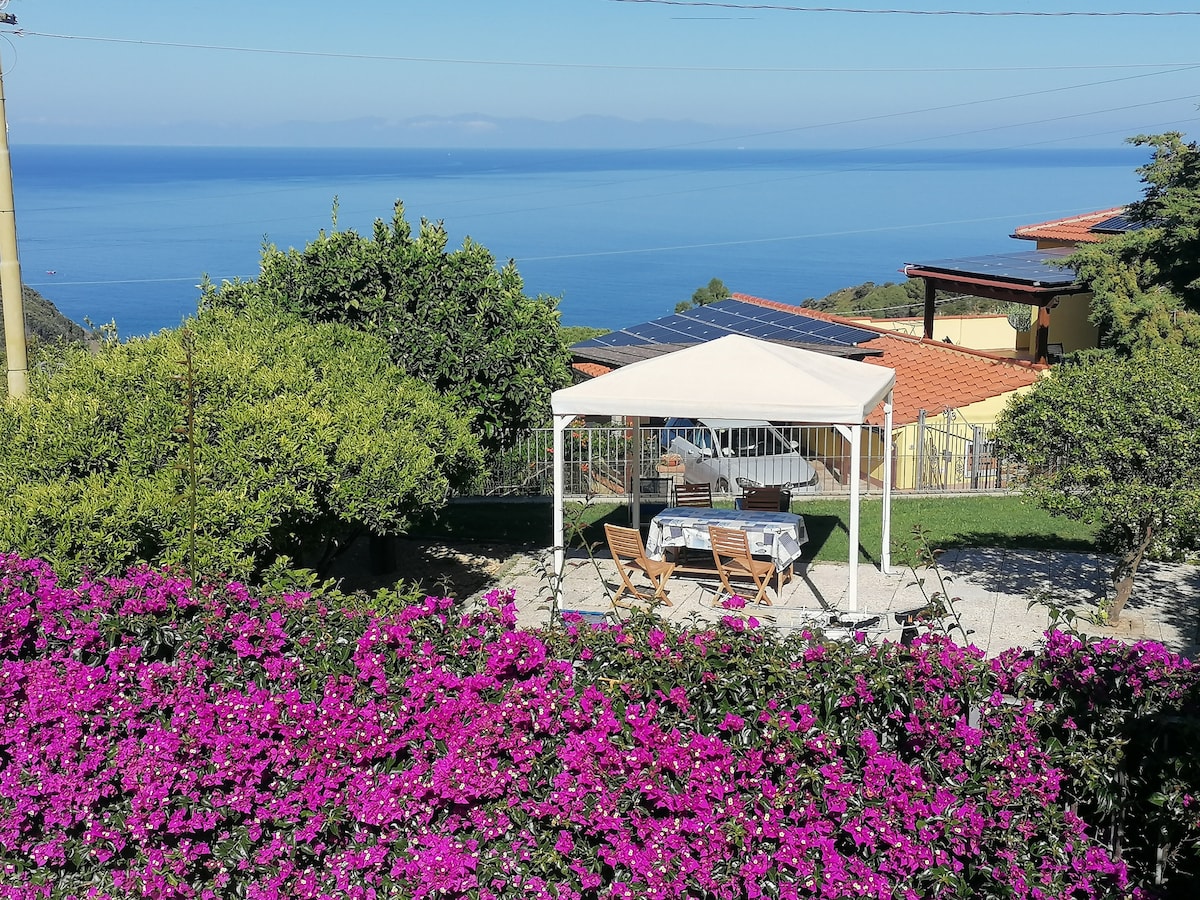 A gazebo with a table is situated on a grassy area, surrounded by vibrant pink bougainvillea. In the background, a panoramic view of the serene blue sea and distant islands is visible, enhancing the tranquil outdoor space.