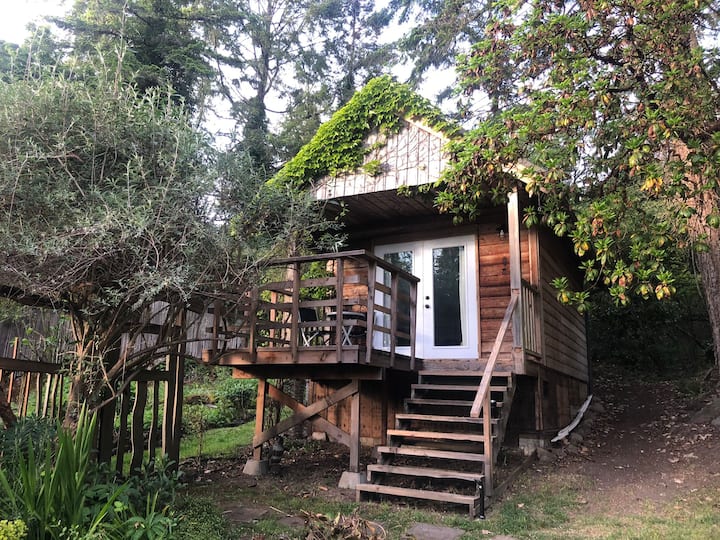 Garden Cabin