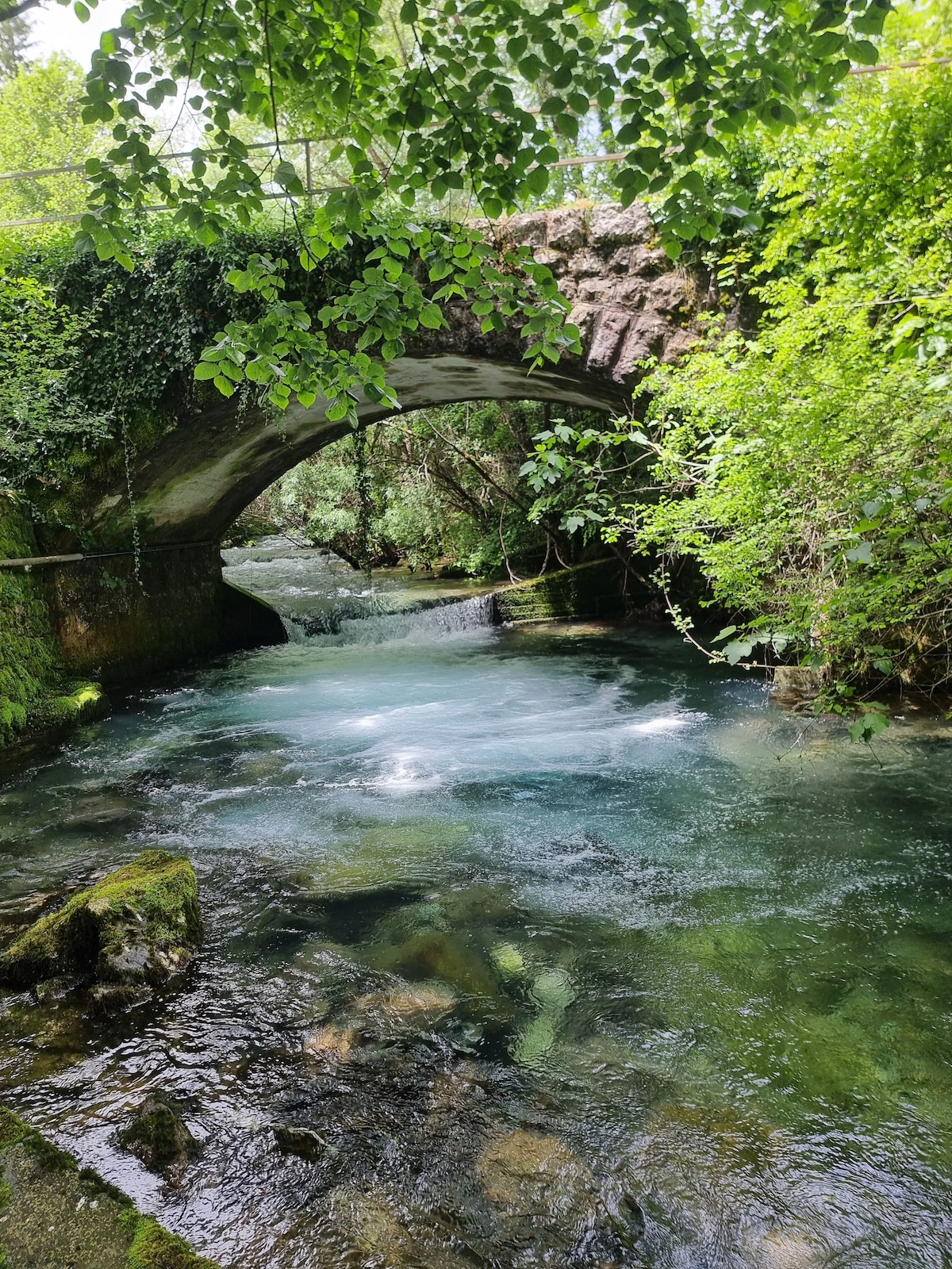 An arched stone bridge is partially hidden by lush greenery, spanning a serene waterway. The calm water reflects the surrounding foliage, creating a peaceful setting. Gentle ripples can be seen beneath the bridge, enhancing the tranquil atmosphere of this natural environment.