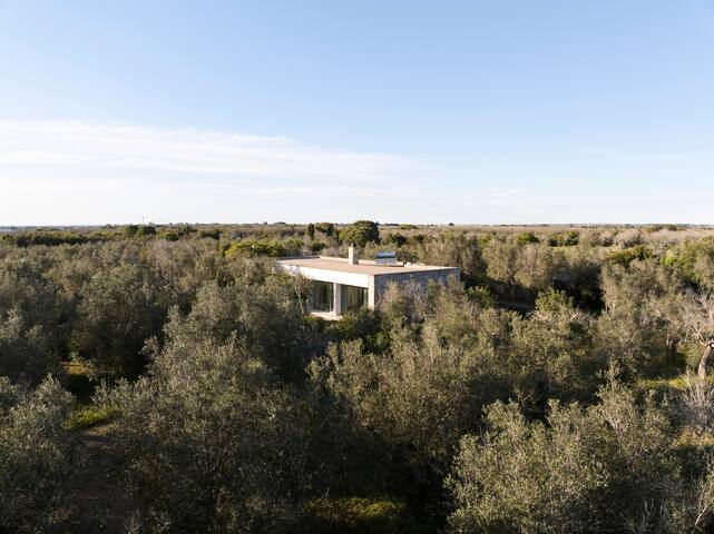 Beautifully designed Villa in olive grove gallery image 3