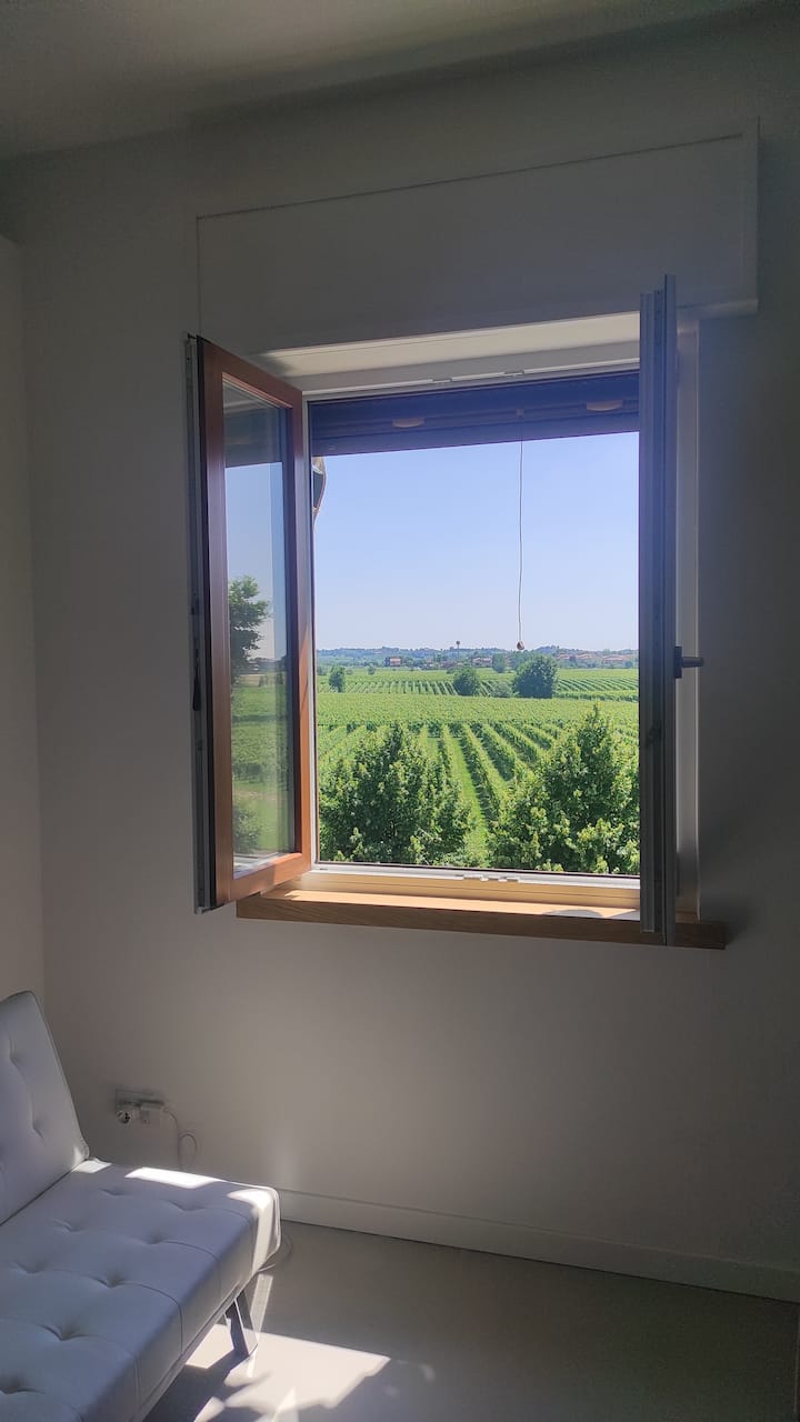 Quite Residence Overlooking The Lake/private Beach - Peschiera del Garda