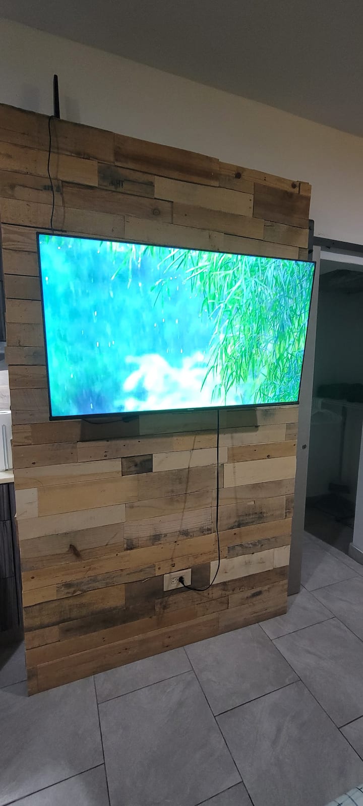 55 in Smart TV