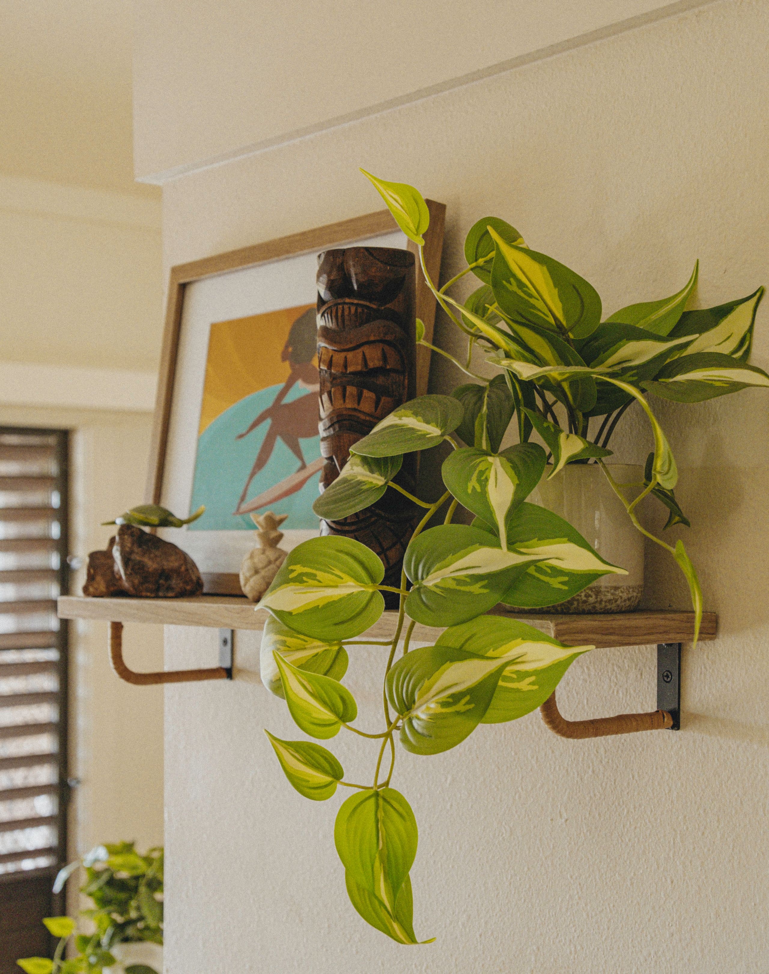 Tropical Paradise, Ocean views, Kiahuna - Photo 3