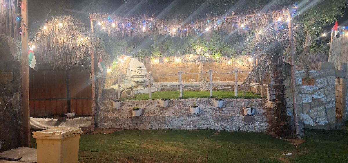A charming outdoor seating area features a stone backdrop adorned with decorative stones and small plants. Soft lights hang overhead, creating a warm glow. Two rustic wooden benches offer seating on a grassy surface, surrounded by a rustic fence that enhances the space's inviting feel.