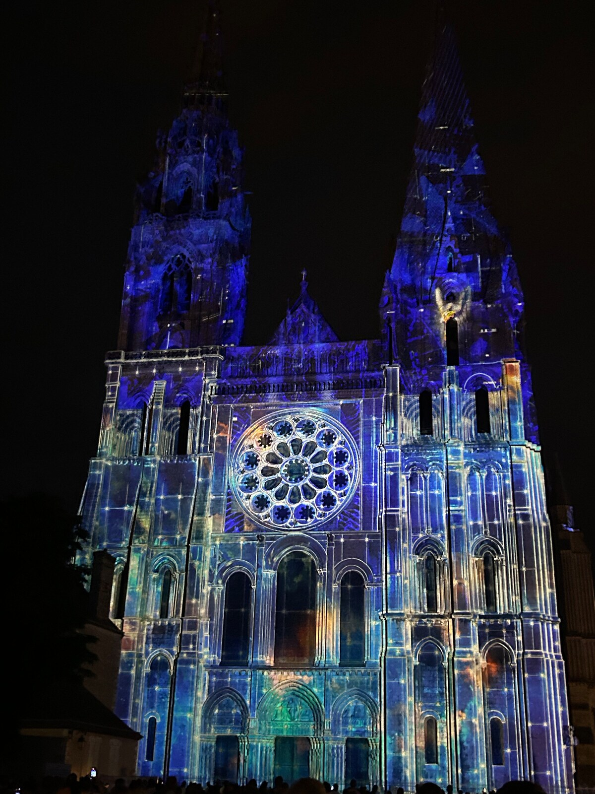The façade of a historic cathedral is illuminated with vibrant blue and purple projections, highlighting intricate architectural details. A large rose window is prominently featured, surrounded by ornate patterns that flow across the stone surface, creating a striking visual display against the night sky.