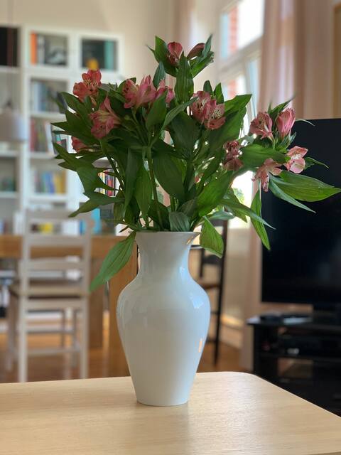 Leistungsstarkes Airbnb: Top Flat located in Hamburg Ottensen in Ottensen