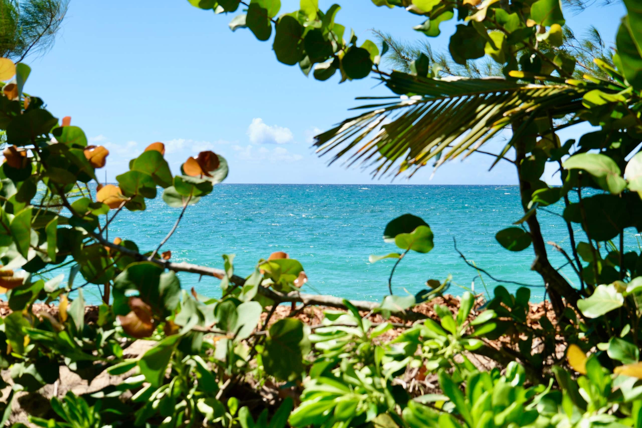 Oceanfront Studio - 100 Foot Wave Getaways - Photo 9