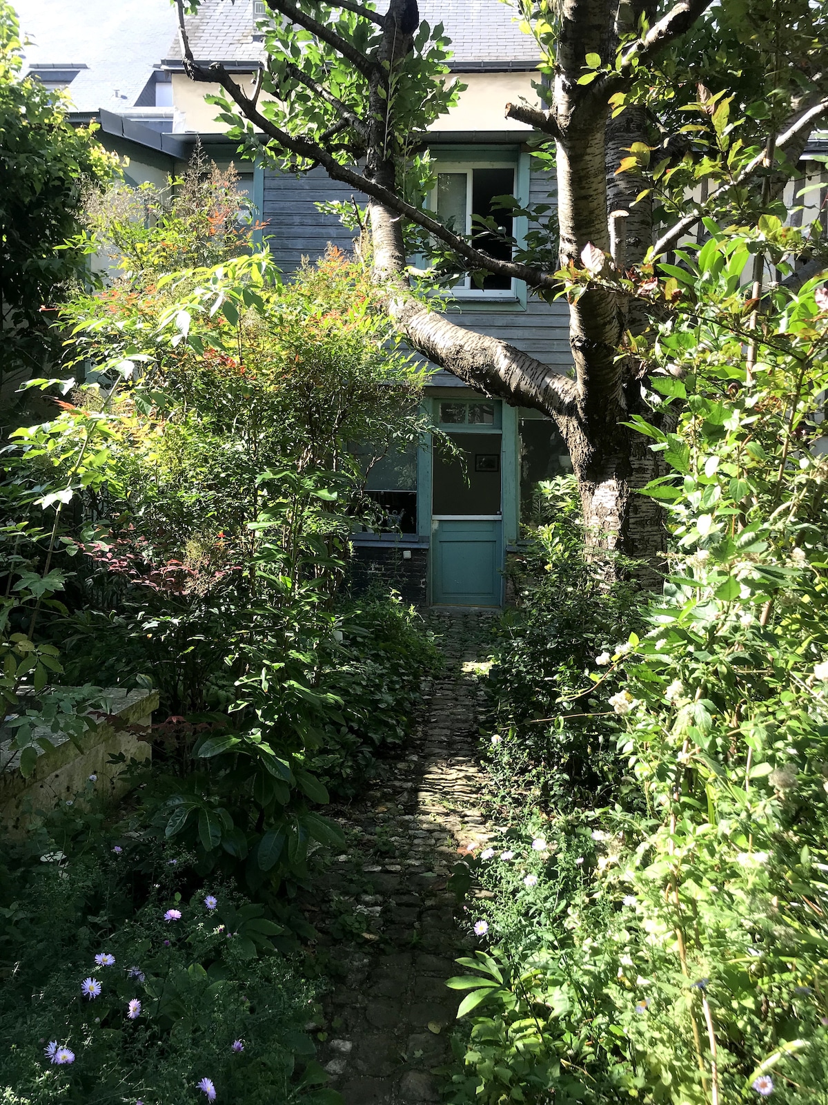 A charming path lined with greenery leads to a small house, partially obscured by lush plants. The entrance, featuring a light blue door, is framed by vibrant foliage, creating a serene and inviting atmosphere amidst the garden.