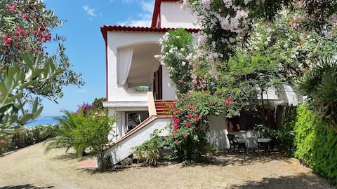 Villa Anna - Large apartment with sea view
