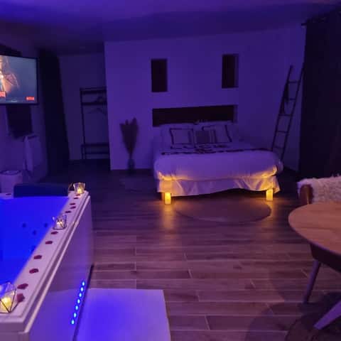 Luxury loft with Jacuzzi private garden near Paris