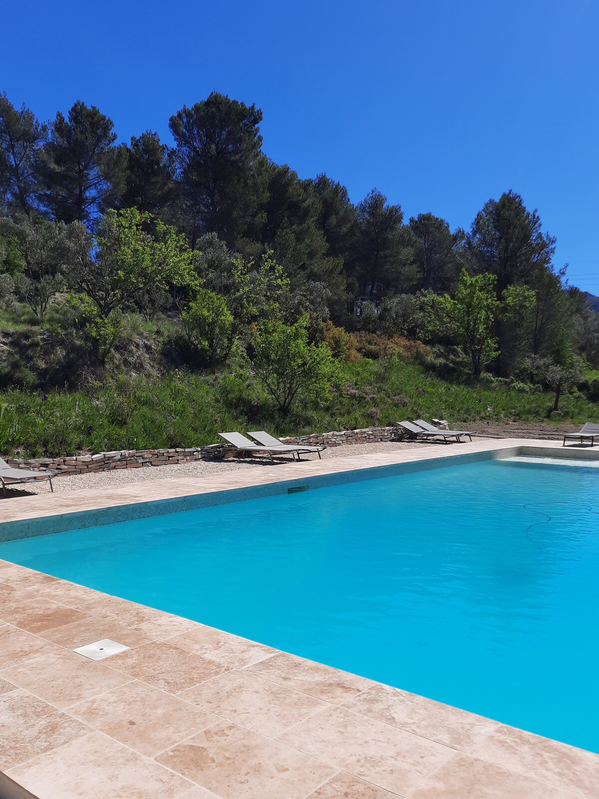 A large outdoor pool is surrounded by a sun terrace featuring several sun loungers. Lush greenery lines the background, with trees dotting the hillside under a clear blue sky. The tranquil setting invites relaxation in a natural environment.