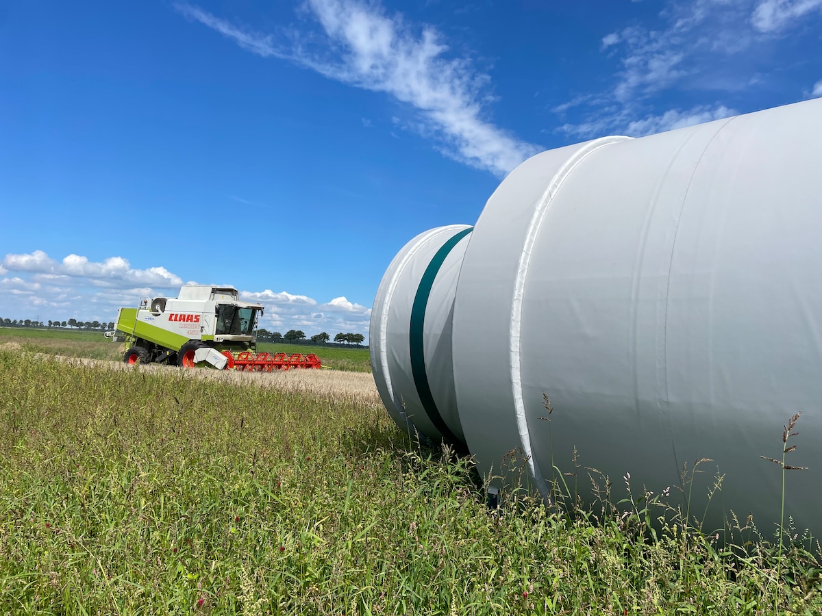 Всекидневна зона