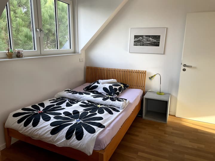 Gemütlich Und Zentral Wohnen - Heidelberg