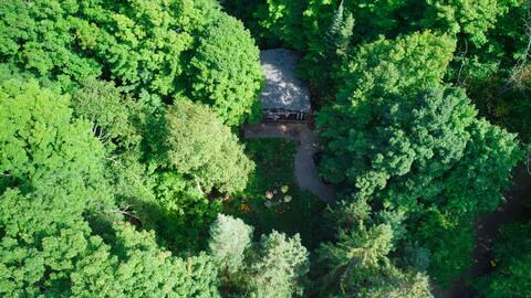 Tree house. 3 bedrooms / tree house 3bdr