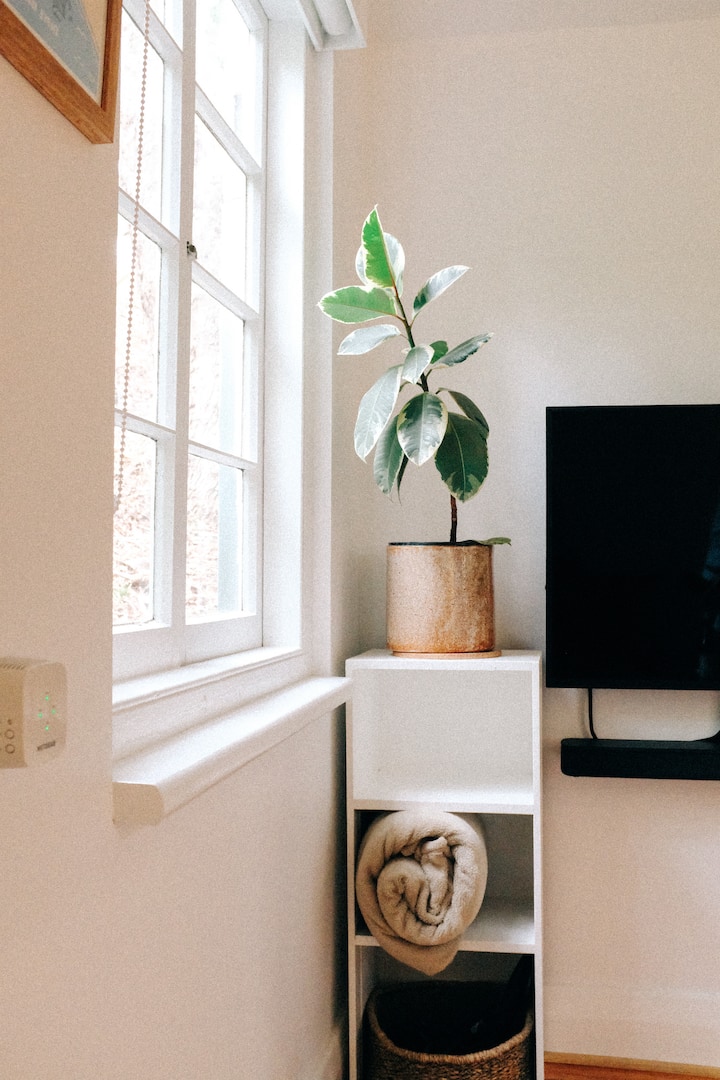 غرفة المعيشة