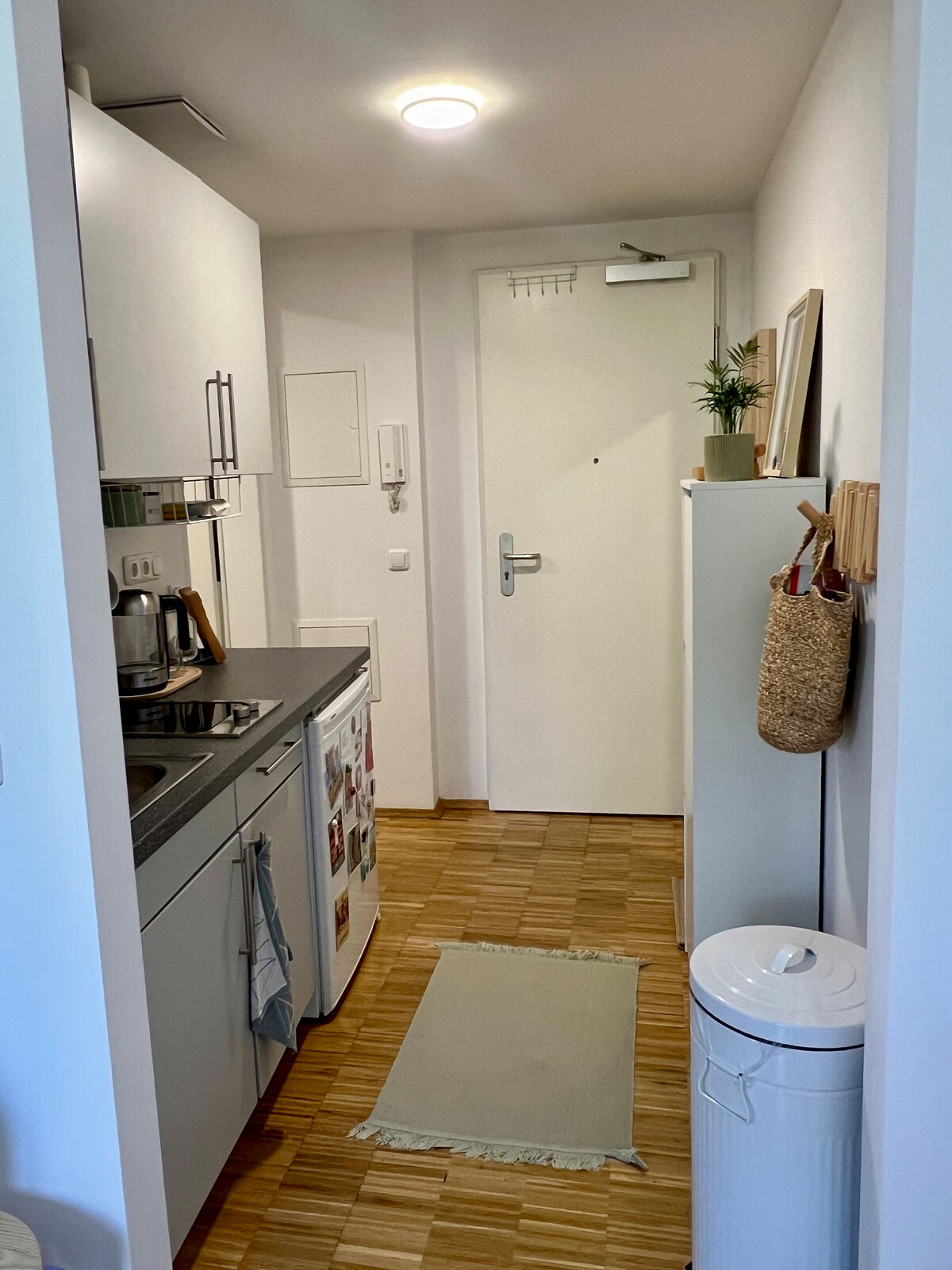 A compact kitchen space features sleek white cabinetry and a dark counter. A sink and stovetop are visible, along with an electric kettle. A door leads to the hallway, with a soft area rug placed on the wooden floor. A coat rack and additional storage can be seen.