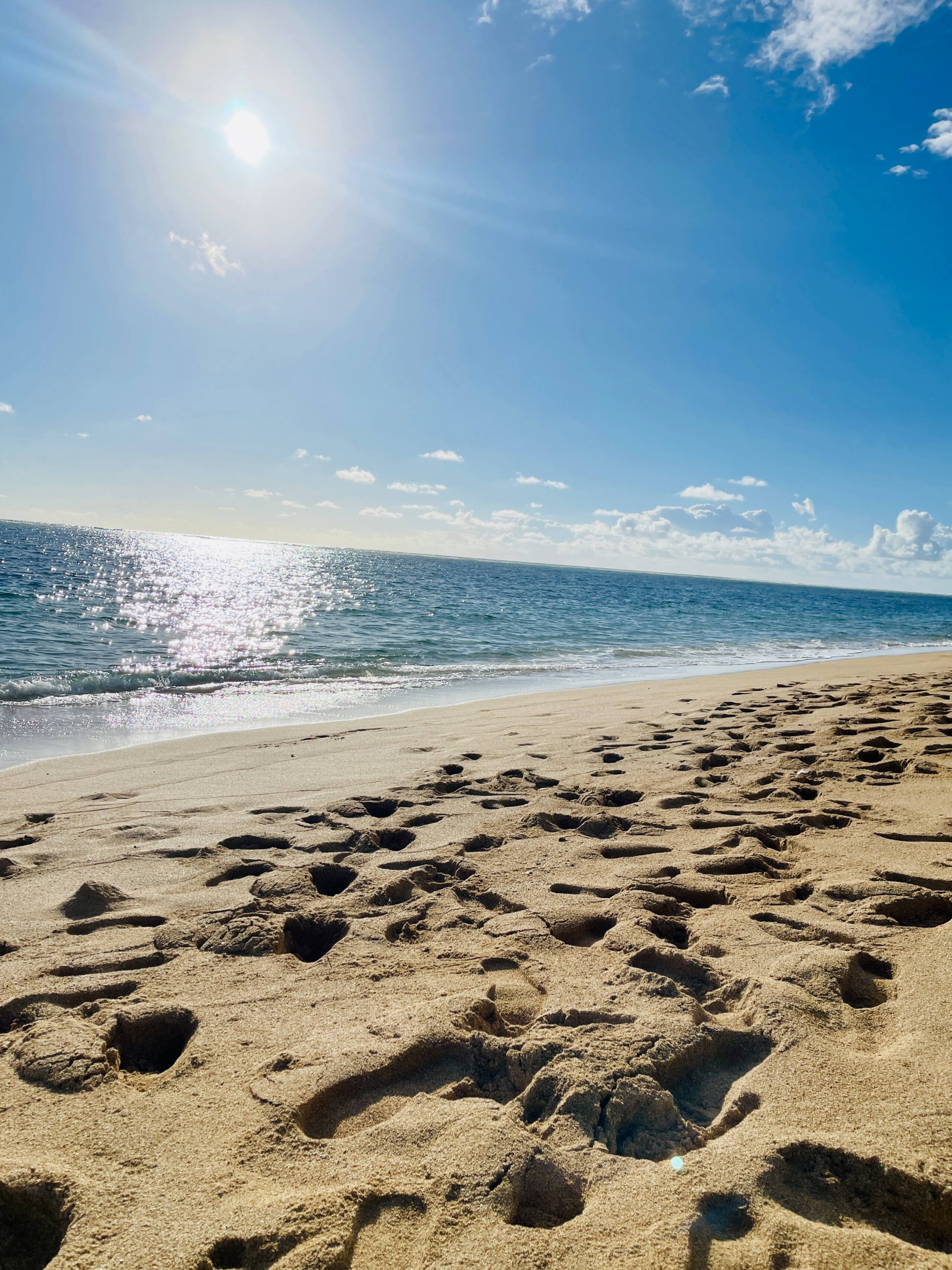 Condo in Hauula · ★4.81 · 1 bedroom · 2 beds · 1 private bath - Image 30