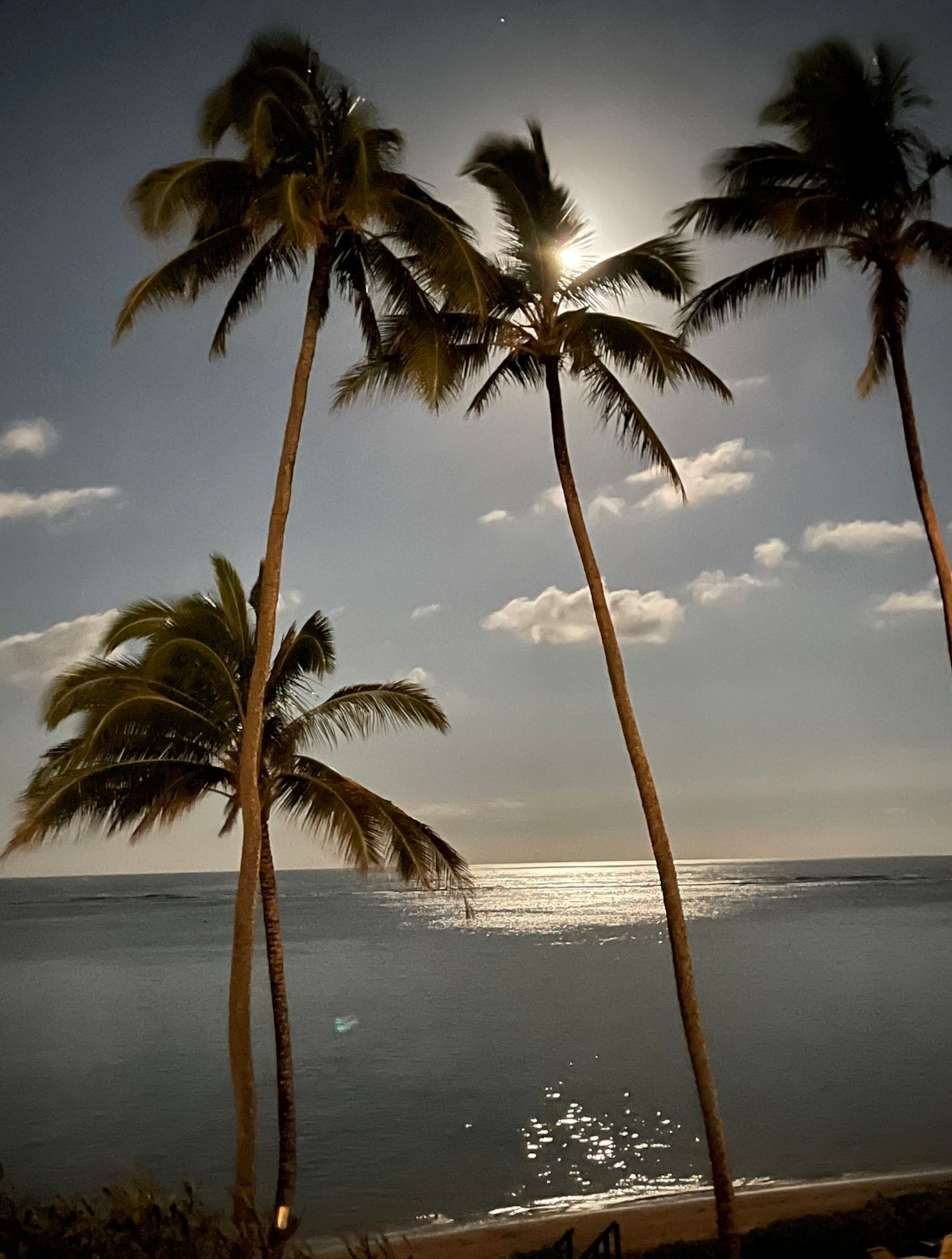 Condo in Hauula · ★4.81 · 1 bedroom · 2 beds · 1 private bath - Image 33