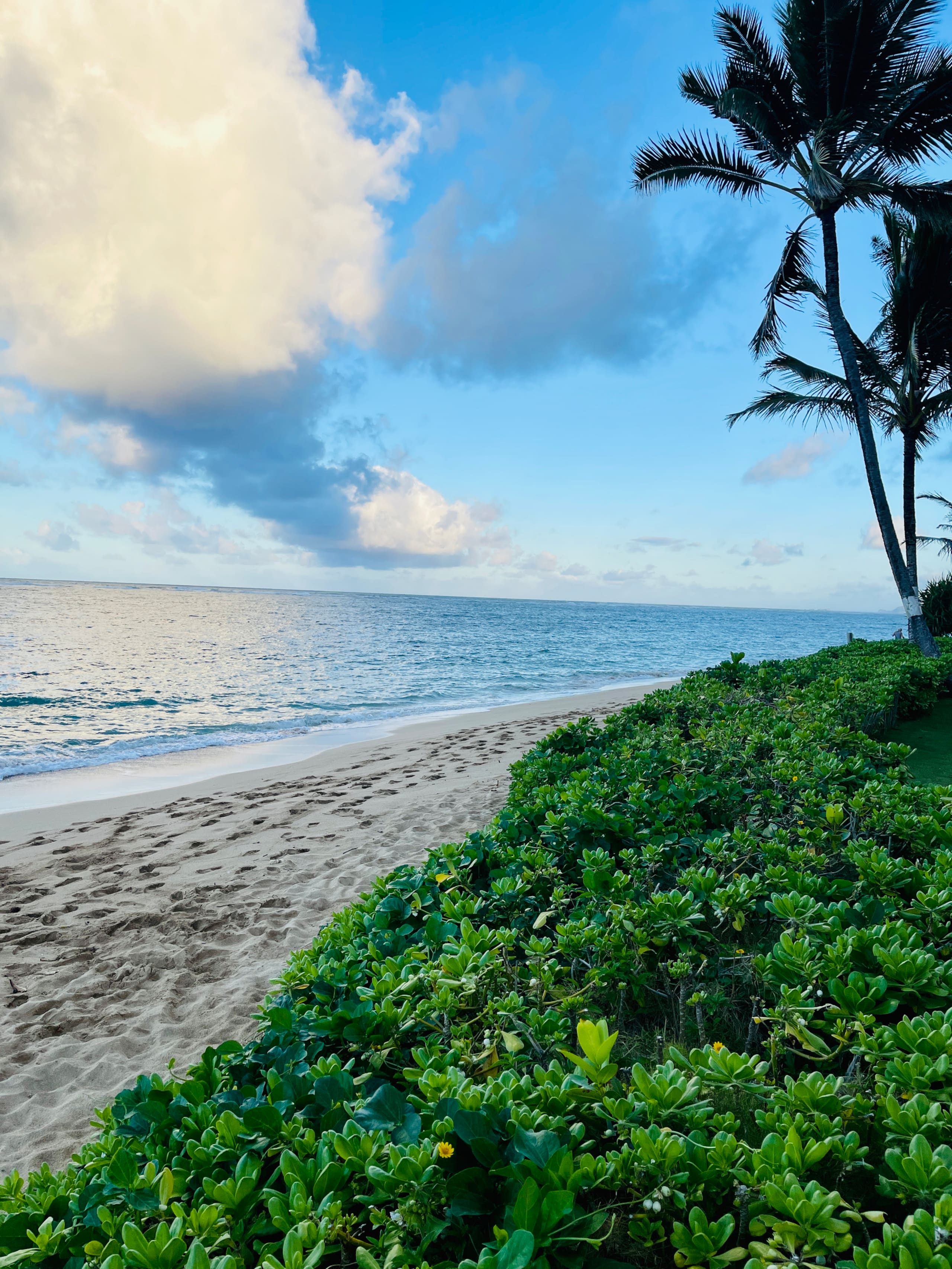 Condo in Hauula · ★4.81 · 1 bedroom · 2 beds · 1 private bath - Image 29