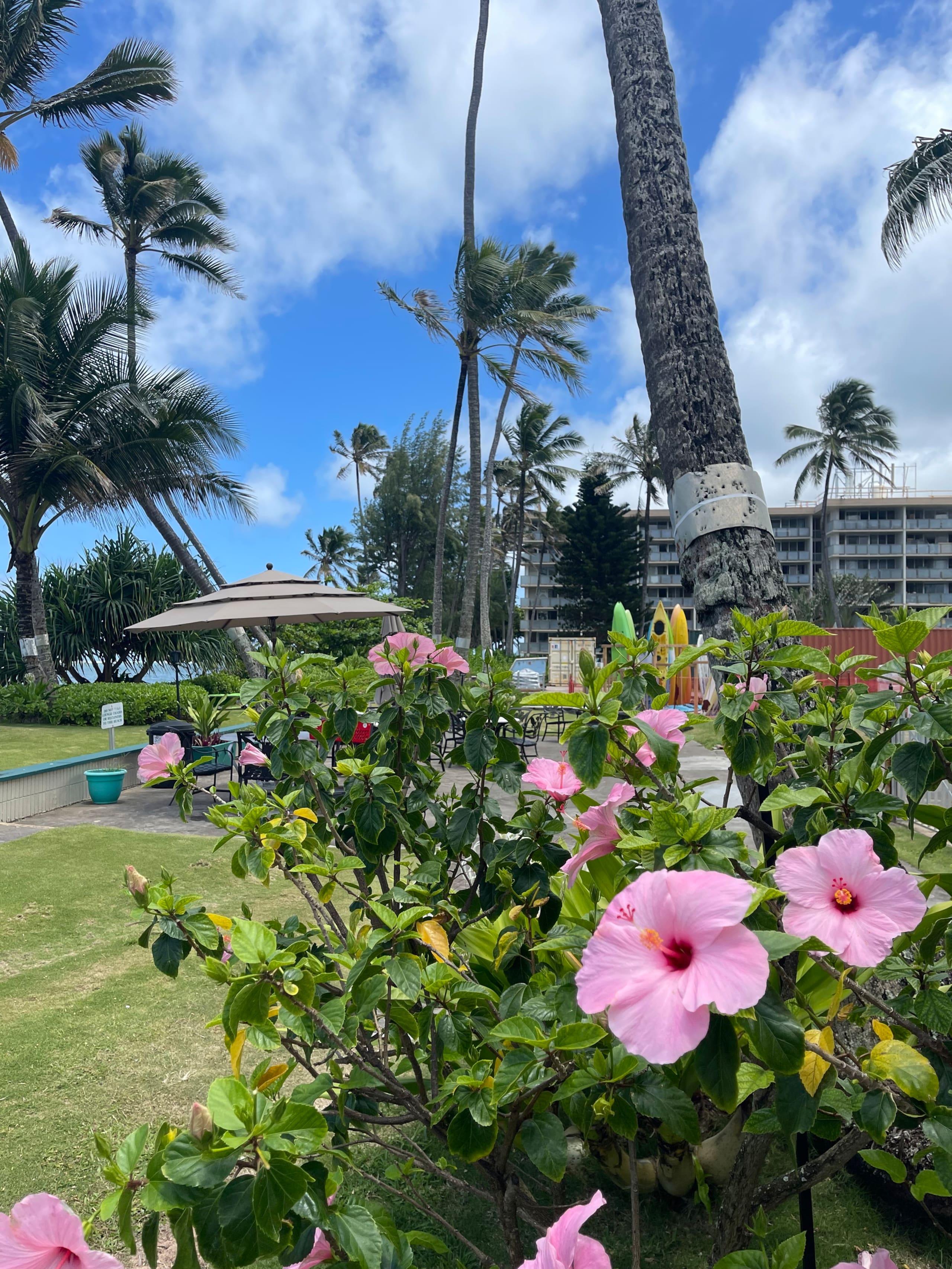 Condo in Hauula · ★4.81 · 1 bedroom · 2 beds · 1 private bath - Image 45