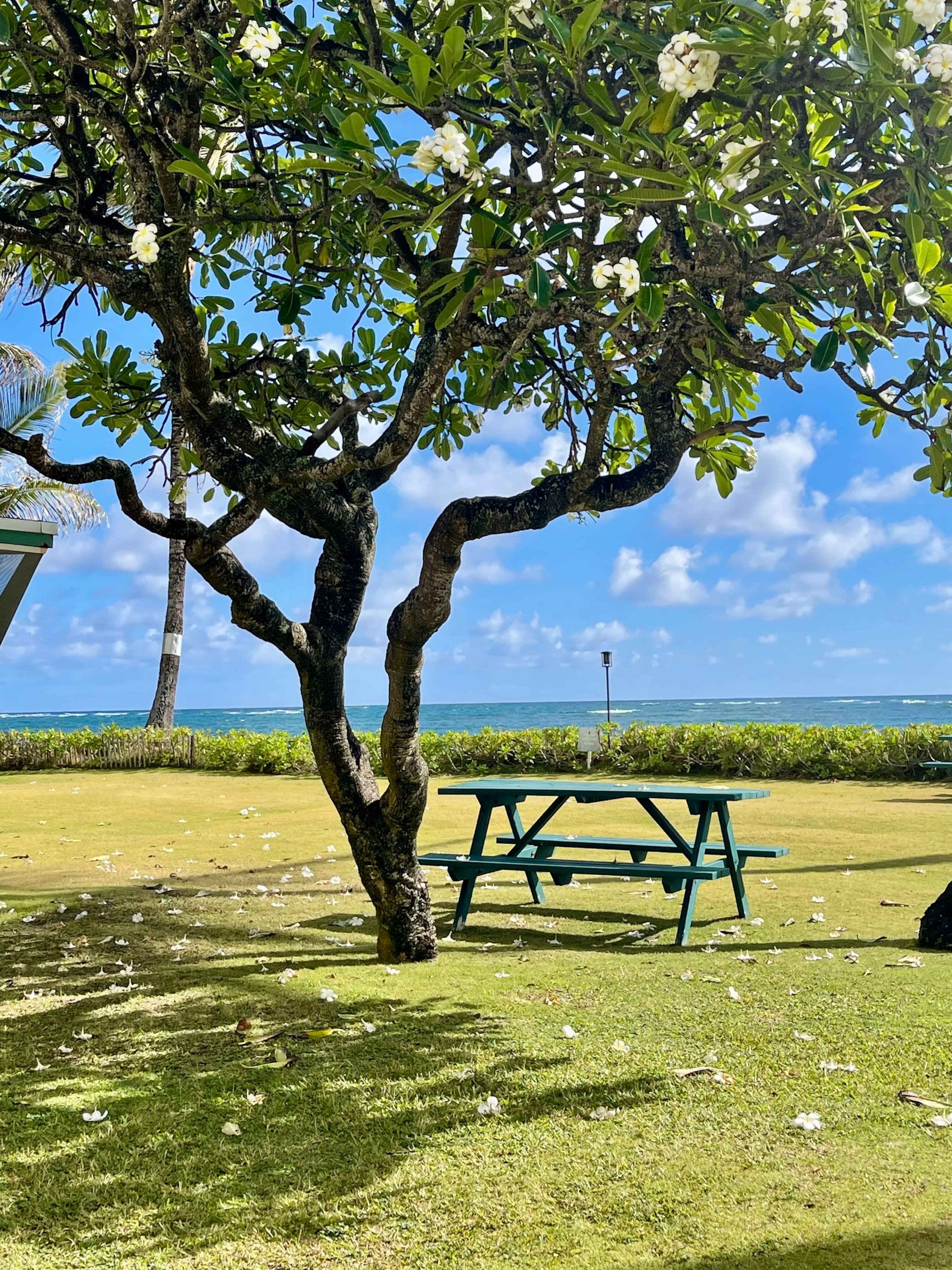Condo in Hauula · ★4.81 · 1 bedroom · 2 beds · 1 private bath - Image 36