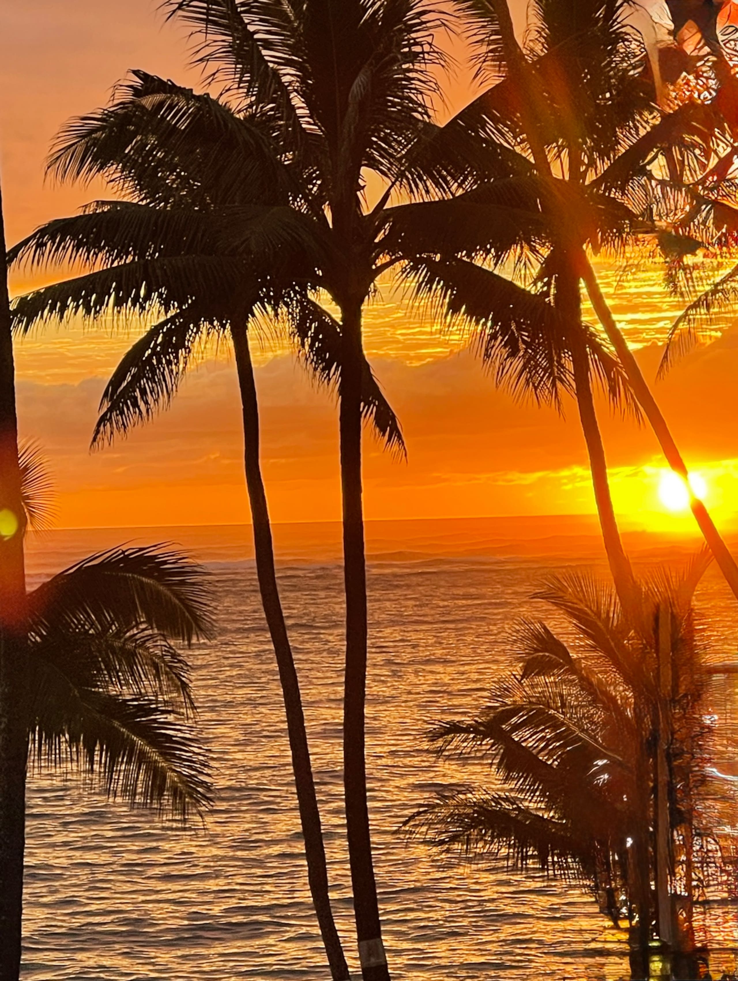 Condo in Hauula · ★4.81 · 1 bedroom · 2 beds · 1 private bath - Image 44