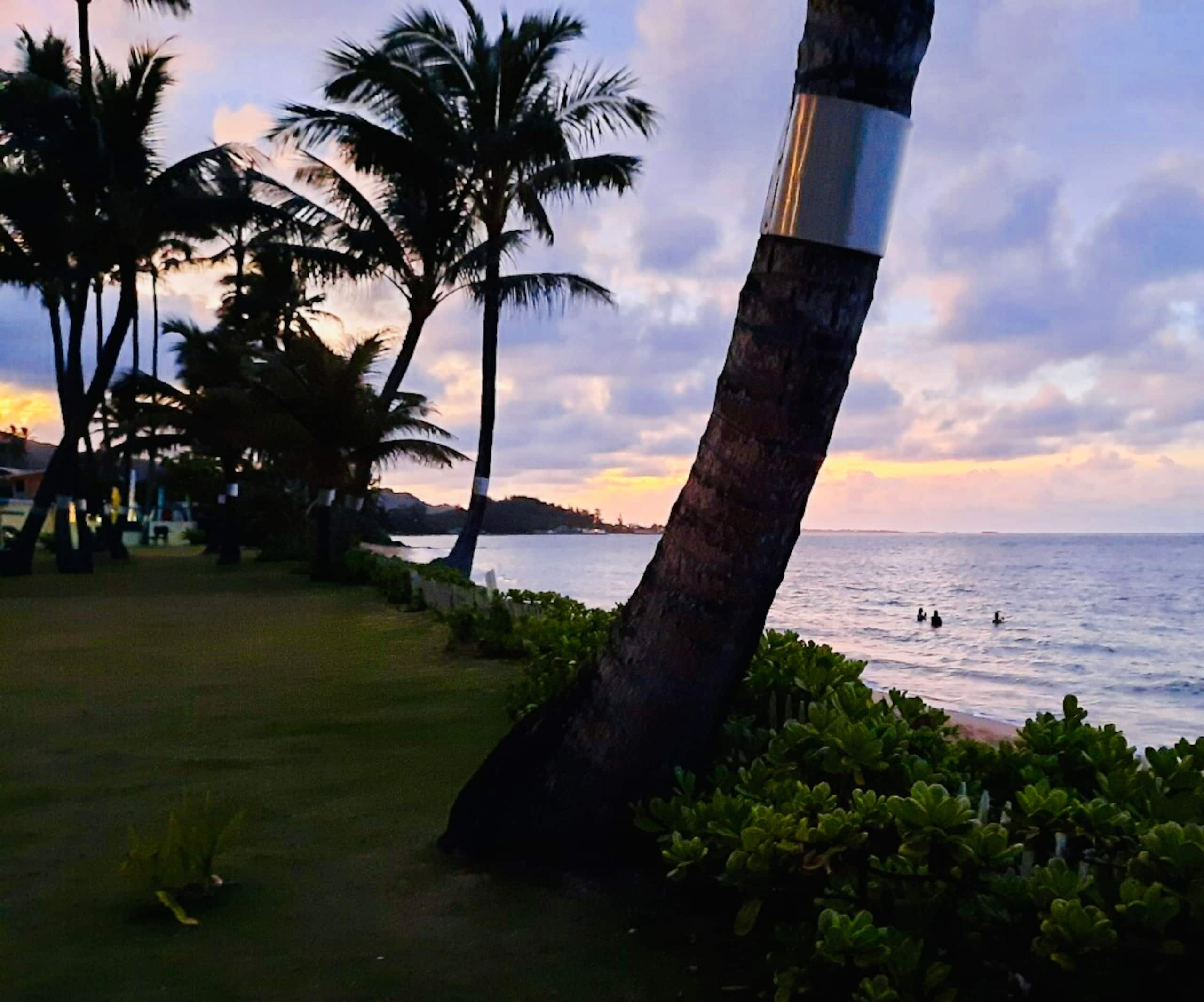 Condo in Hauula · ★4.81 · 1 bedroom · 2 beds · 1 private bath - Image 42
