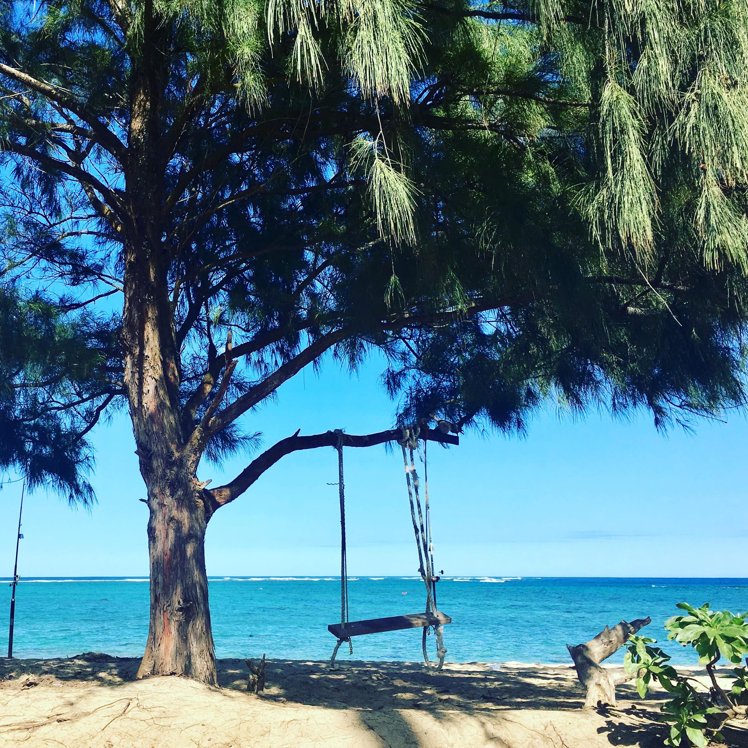 Condo in Hauula · ★4.81 · 1 bedroom · 2 beds · 1 private bath - Image 65