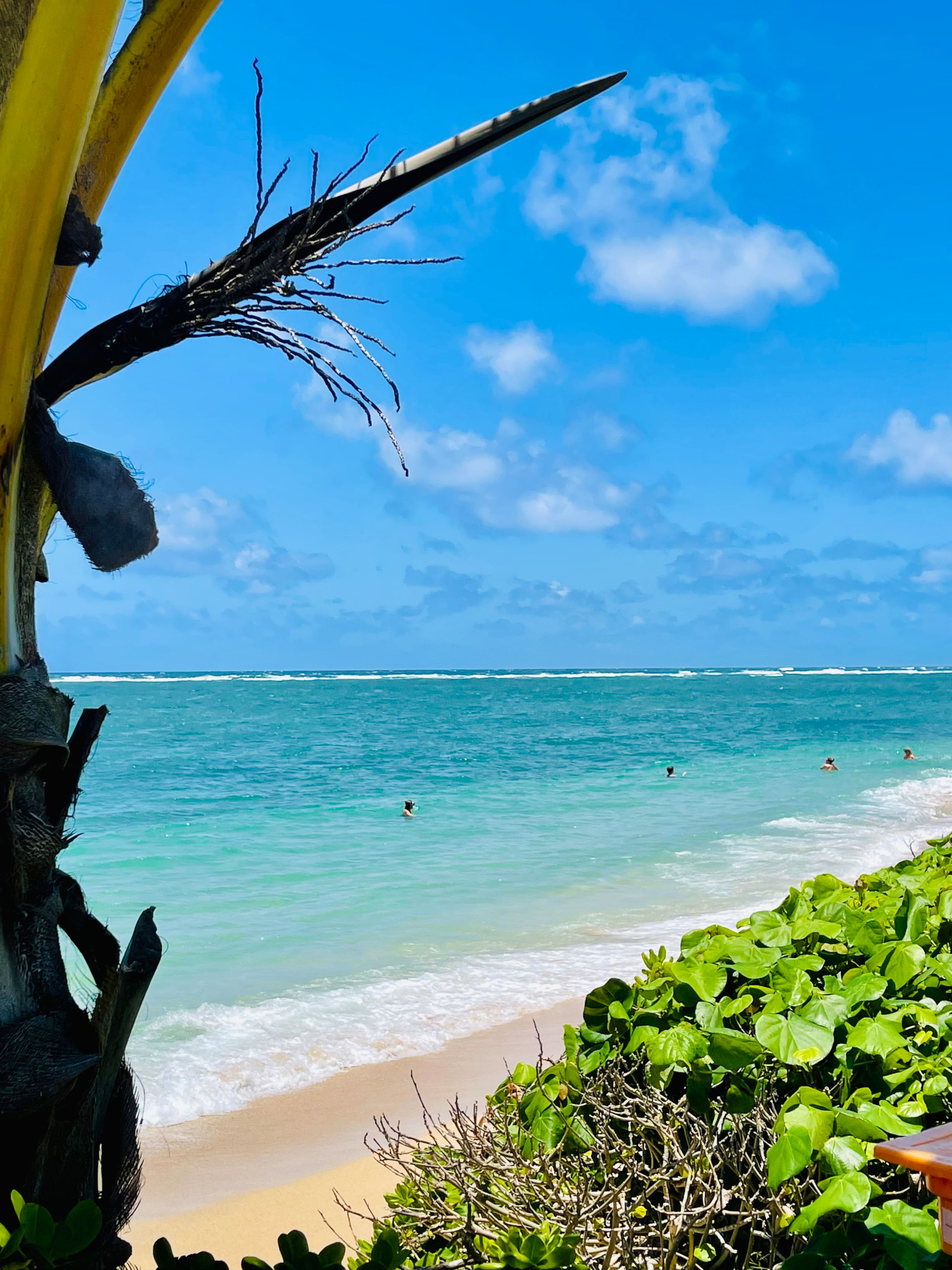 Condo in Hauula · ★4.81 · 1 bedroom · 2 beds · 1 private bath - Image 38