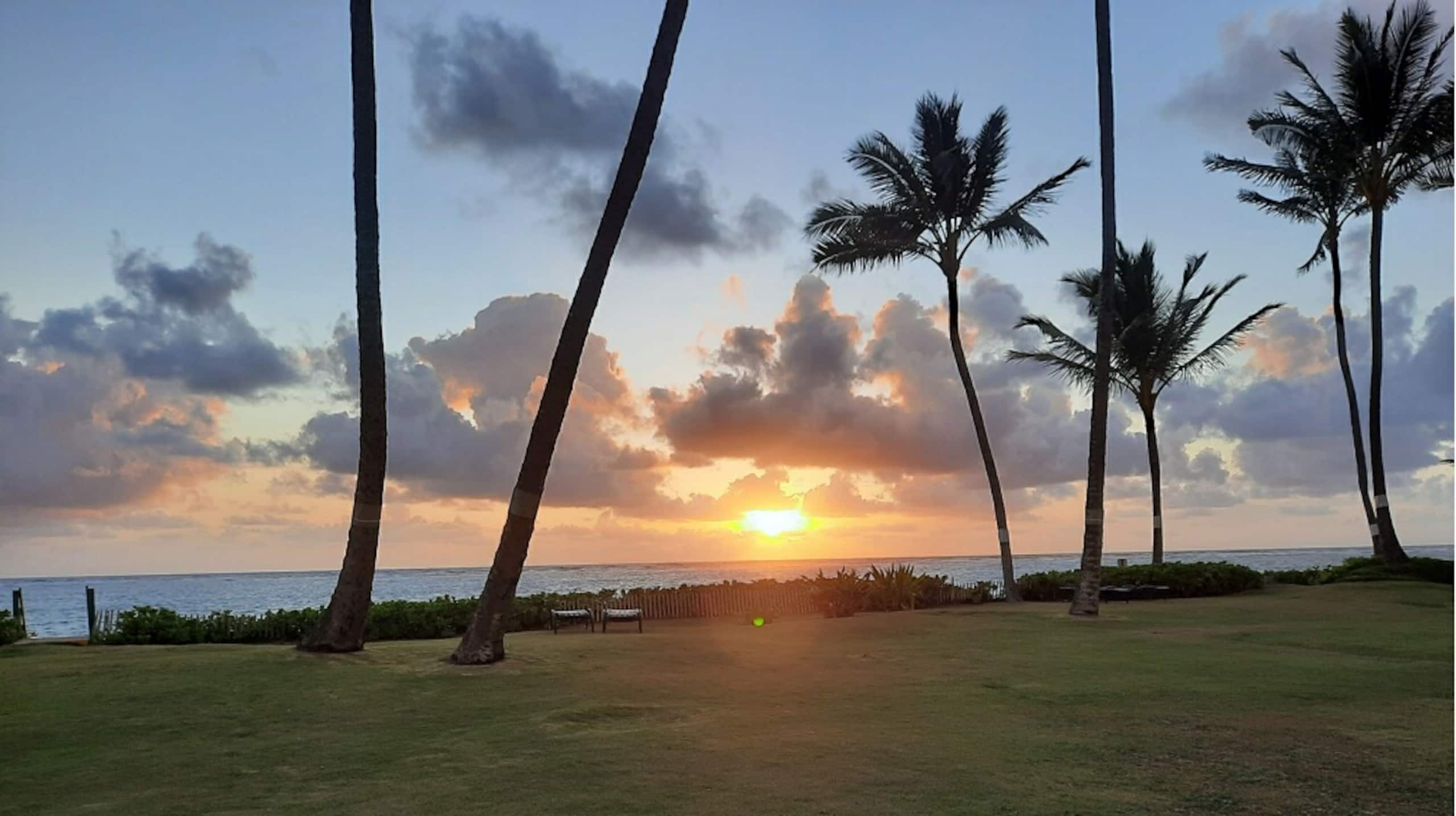 Condo in Hauula · ★4.81 · 1 bedroom · 2 beds · 1 private bath - Image 43