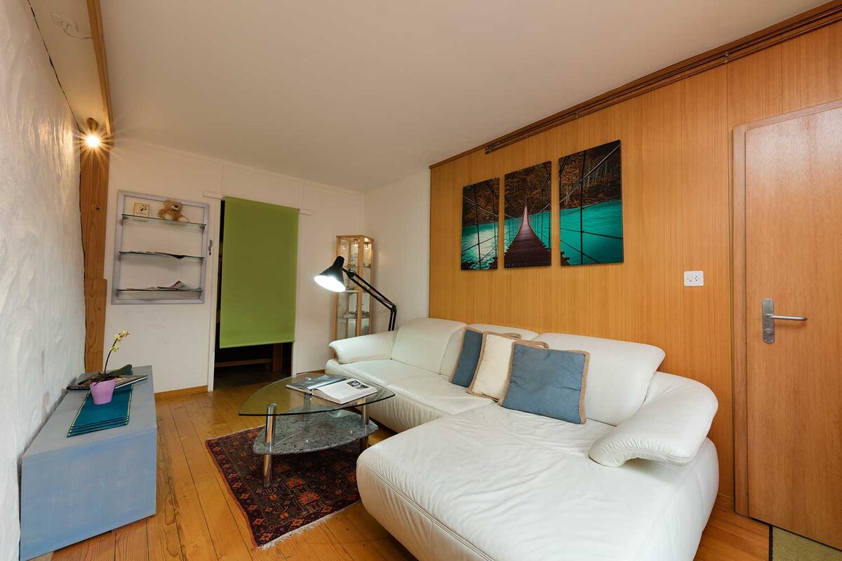 Под од дабови летви, пријатно катче за читање, со кожен кауч. Дневната соба има и дополнителна врата од главниот влез. 