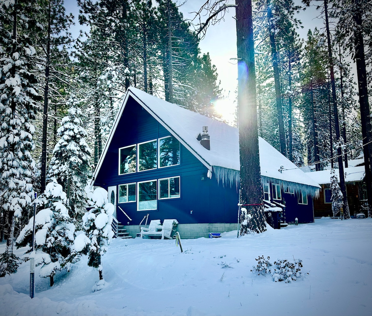 The exterior of a cozy cabin is surrounded by tall pine trees, blanketed in fresh snow. Large windows reflect sunlight, and icicles hang from the roof. A gentle slope leads to the entrance, with logs positioned for seating in the snowy landscape.