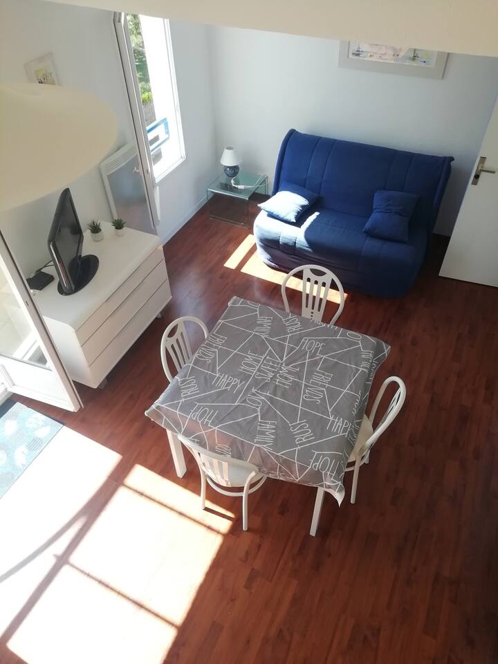 Les Sables D'olonne : Appartement Vue Mer - Le Château-d'Olonne