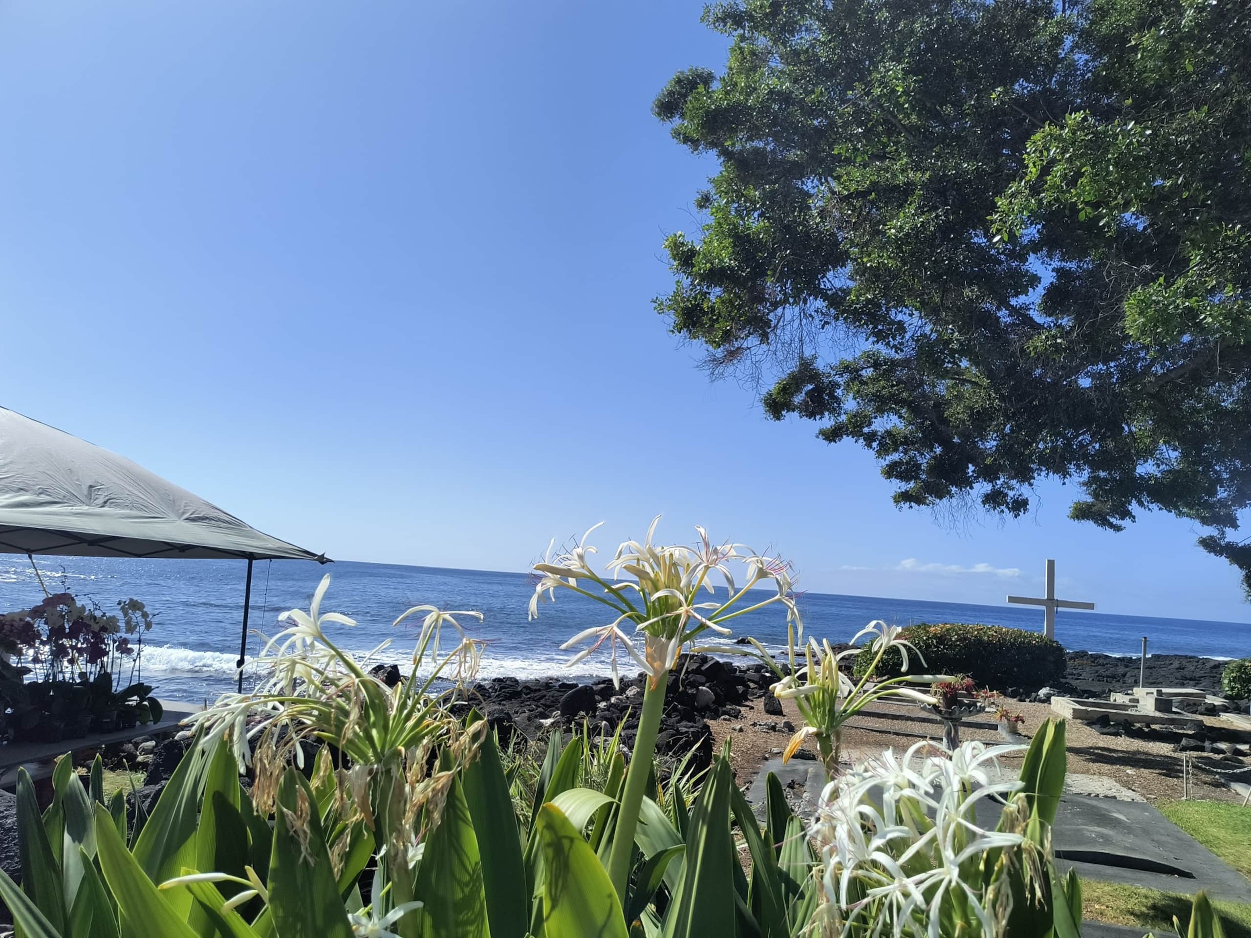 Condo in Kailua-Kona · ★4.67 · 1 bedroom · 1 bed · 1 private bath - Image 15