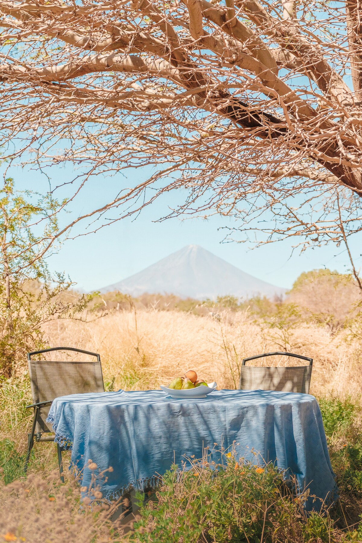 A dining table dressed in a blue tablecloth is set beneath a bare tree, offering a view of the distant Volcán Licancabur. Two metal chairs accompany the table, surrounded by a landscape of golden grasses and sparse vegetation under a clear sky.