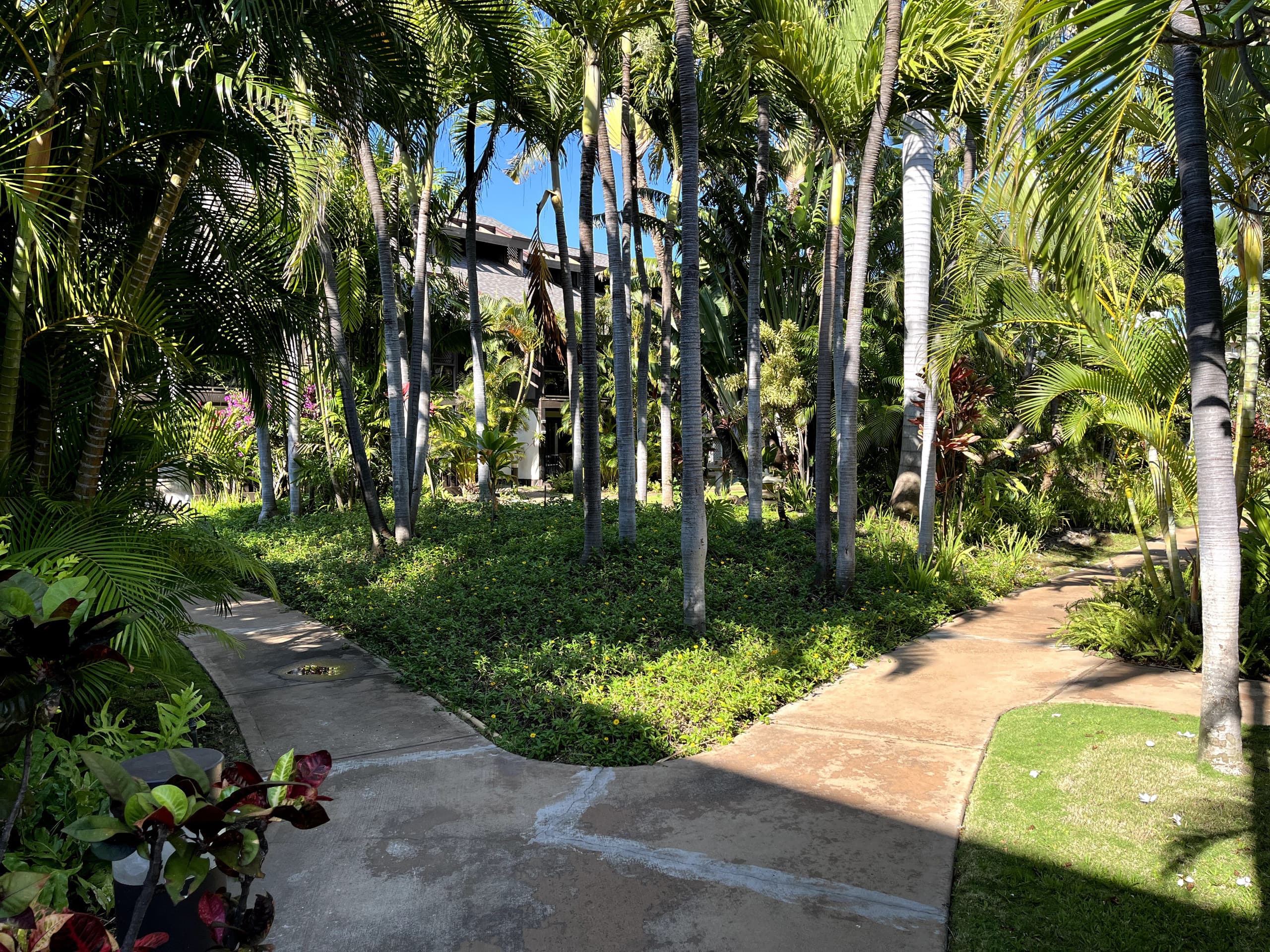 Condo in Kihei · ★4.94 · 1 bedroom · 2 beds · 1 private bath - Image 63