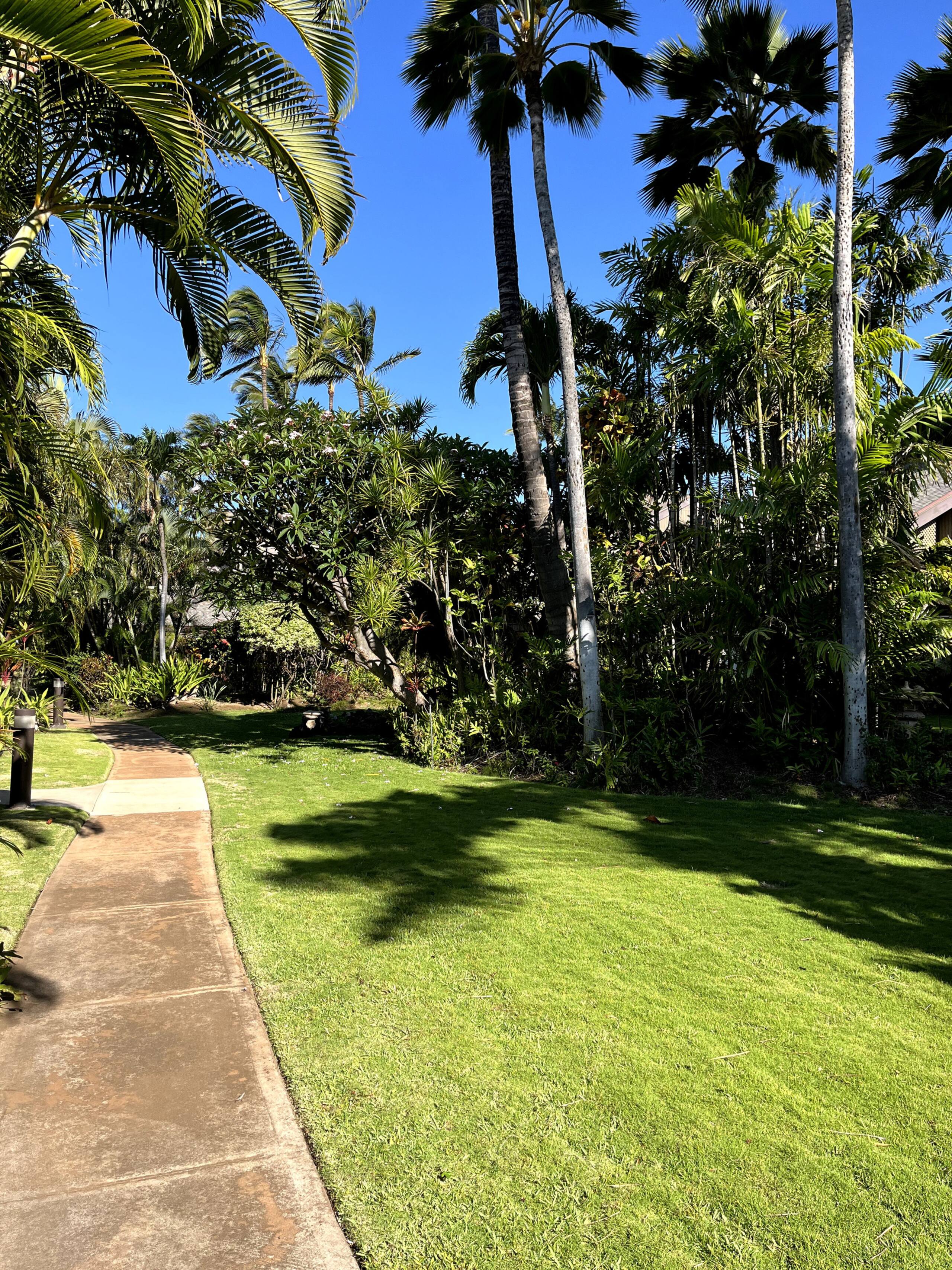 Condo in Kihei · ★4.94 · 1 bedroom · 2 beds · 1 private bath - Image 54