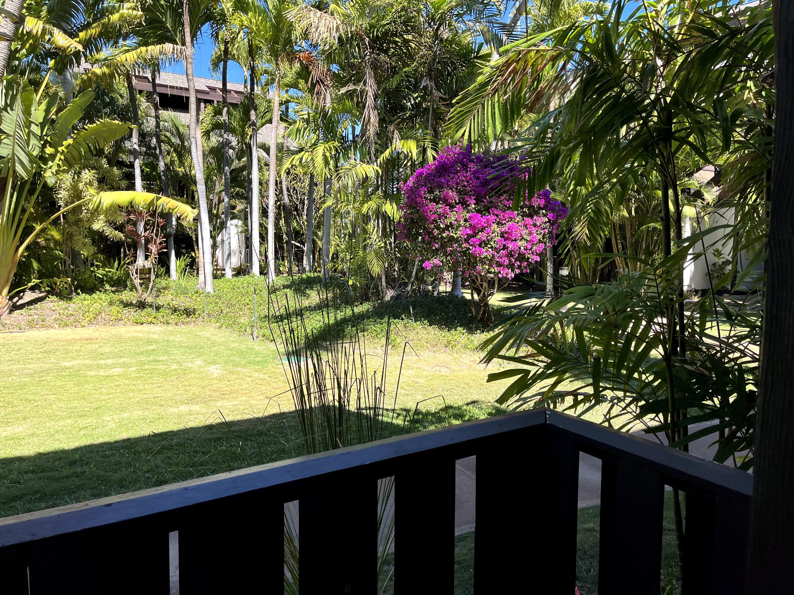 Condo in Kihei · ★4.94 · 1 bedroom · 2 beds · 1 private bath - Image 44